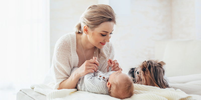 Baby’s Arrival: How to Prepare Your Pets
