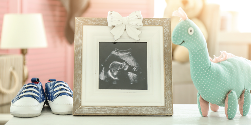 First Ultrasound Appointment: What to Expect