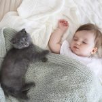 Introducing Your Pet and Newborn