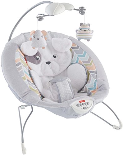 Fisher Price Snugapuppy Baby Bouncer