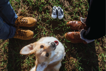 Overhead shot of a man and woman's shoes standing across from each other, with baby shoes and their dog looking up at the camera.